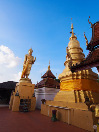 A buddha and pagoda in a temple during daytime 