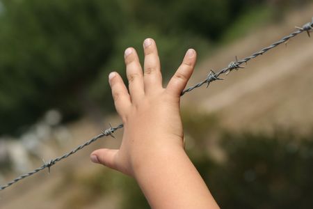 hand in a barbed wireの写真素材