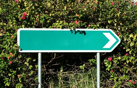 green empty direction signal in the vegetationの写真素材