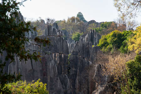 February 2019, Kuniming, Yunnan Stone Forest Geological Park, Shilin County. The Kunming Stone Forest, Shilin in Chinese, is a spectacular set of limestone groups and the representative of the karst landscape of southern China. Known since the Ming dynastのeditorial素材