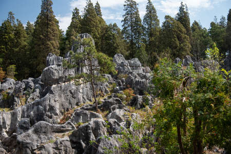 February 2019, Kuniming, Yunnan Stone Forest Geological Park, Shilin County. The Kunming Stone Forest, Shilin in Chinese, is a spectacular set of limestone groups and the representative of the karst landscape of southern China. Known since the Ming dynastのeditorial素材