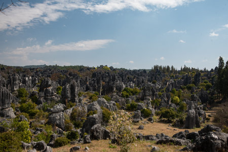 February 2019, Kuniming, Yunnan Stone Forest Geological Park, Shilin County. The Kunming Stone...