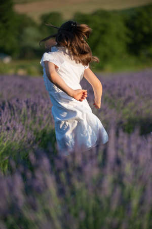 Beautiful little girl in a lavender field in Italyの写真素材