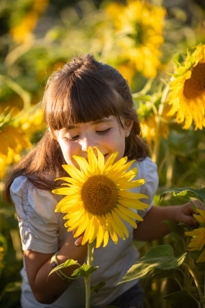 September 2020, Bibbiano, Italy. Sweet little girl poses for a photograph in a sunflower fieldの写真素材