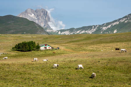 September 2021, Gran Sasso and Monti della Laga National Parkのeditorial素材