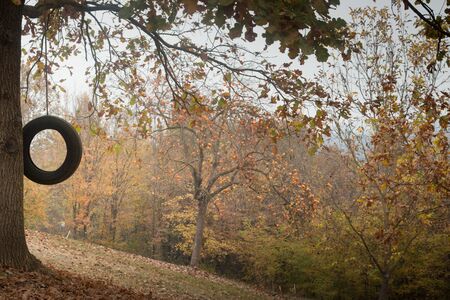 Autumnal view with tire swing. Perfect seasonal background, with copyspace.の写真素材