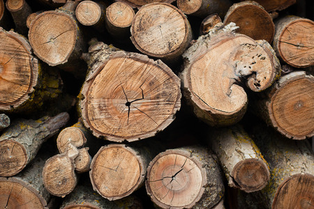 Firewood pattern, background or texture.の写真素材