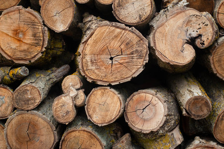 Firewood pattern, background or texture.