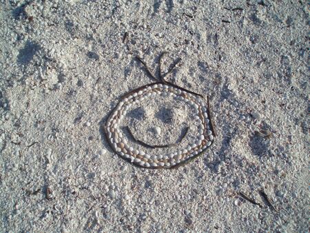 smiling face made with shells on the beach. Sanibel Island, Florida.の写真素材