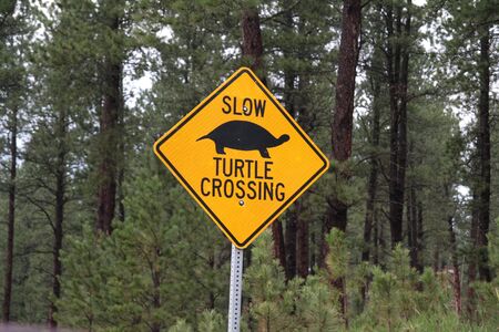 Turtle crossing warning sign, Custer State park, South Dakota.の写真素材