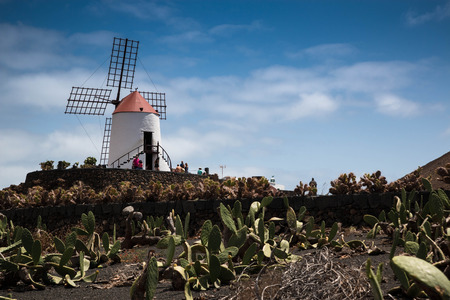 Windmill overlooking a cactus garden, Lanzarote, Canary islands, Spain.のeditorial素材