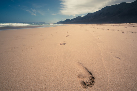 Footprints on the sand, copy space background. Cofete beach, Fuerteventura, Canary Islands, Spain.の写真素材