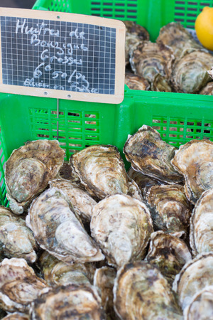 Fresh Bouzigues oysters on sale at Agde local market, one of france typical seafood.の写真素材