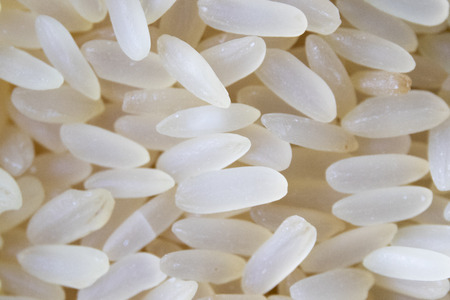 Close up of some grains of raw white rice. Pattern photography.の写真素材