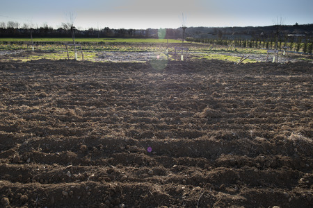 Plowed land with furrows on a sunny day with green fields in the distance. Agriculture or climate change background.の写真素材