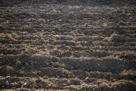 Plowed land with furrows on a sunny day. Agriculture or climate change background.の写真素材