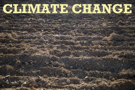 Plowed land with furrows on a sunny day. Agriculture or climate change background.の写真素材