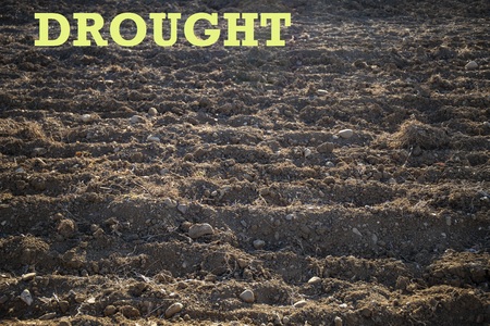 Plowed land with furrows on a sunny day. Agriculture or climate change background.の写真素材