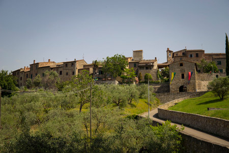 View of the medieval fortified village of Lucignano.