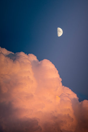 Pastel tones sky at blue hour, with pink fluffy clouds and half moon. vertical shot.