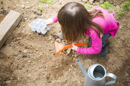 Little child girl digging the ground for placing plants in the garden. Lockdown activity idea during covid-19 pandemic.の写真素材