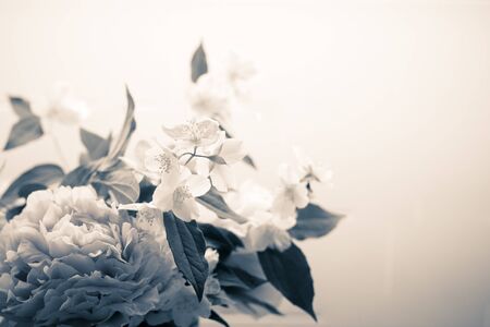 Spring flowers background in vintage black and white filter, with peony (paeonia) and mock-orange (philadelphus). Bw filter retro bouquet close up wallpaper with copy space on right side.の写真素材