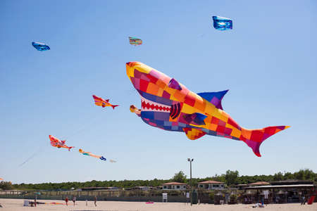 Many big, colorful kites flying over the beach of camping Vittoria, Rosolina Mare, Veneto, Italy.のeditorial素材