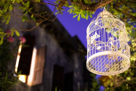 Decorative bird cage hanging from a tree at night in the garden. Shabby, country chic home decor, garden inspiration idea.の写真素材