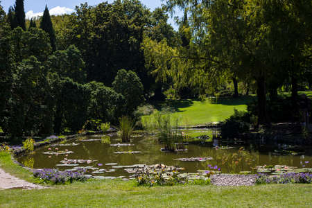 Small pond with waterlilies on a sunny day at SigurtÃ  Garden Park, Valeggio sul Mincio, Veneto, Italy.の写真素材
