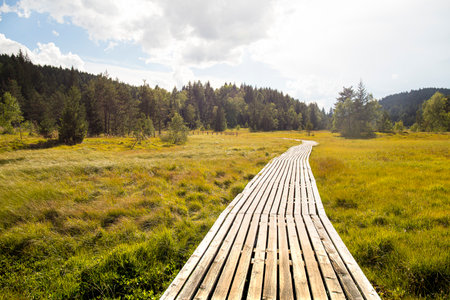 Pian di Gembro natural park landscape, with wooden pathway to the forest and mountains in the horizon. Piani di Gembro natural park, Valtellina, Italy.の写真素材