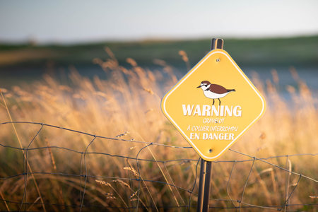 Little plover protection area warning sign in french. Sunset, copy space. Brittany, France.