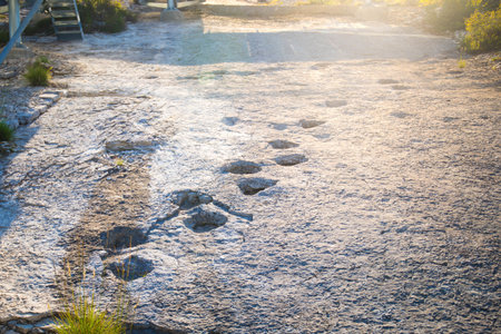 Ancient dinosaur fossil footprints in Rovereto, Trentino, Italy. Sunset scenery with sun flare.