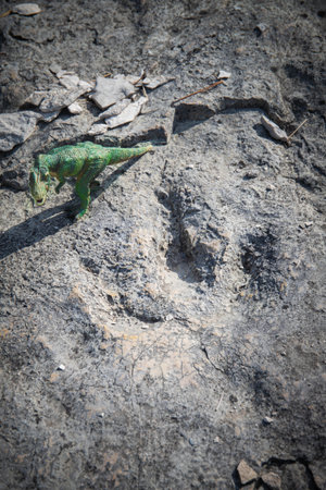 Carnivore three-toed prints at the dinosaur fossil footprints site located in Rovereto, Trentino, Italy. Vertical shot.の写真素材