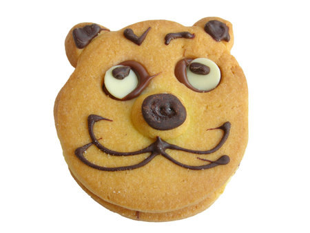 Baked cookie with cat face isolated on whiteの写真素材