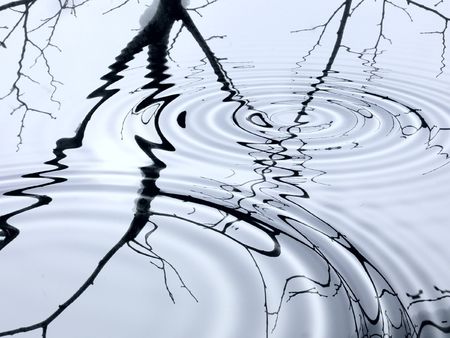 Tree reflected in pondの写真素材