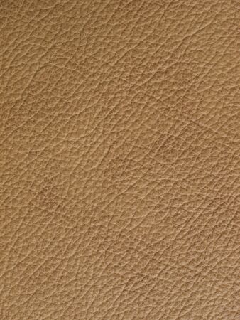Leather sampleの写真素材