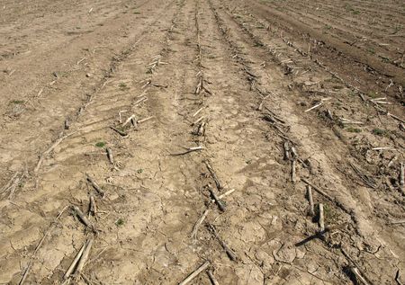 Empty field useful as a natural backgroundの写真素材