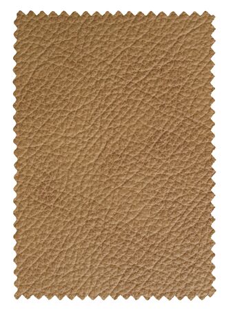 Leather sampleの写真素材