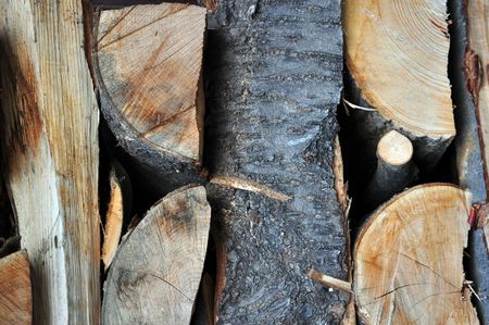 Detail of a tree trunk for use as timberの写真素材