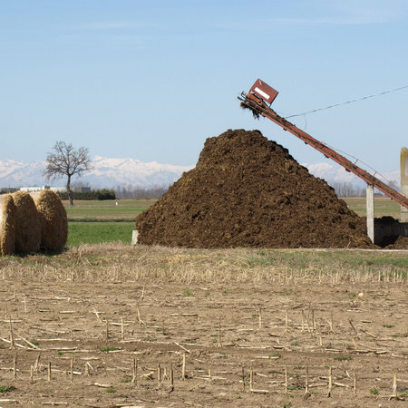 Heap of manure and straw bales in a field