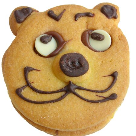 Baked cookie with cat face isolated on whiteの写真素材