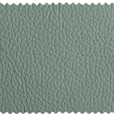 Leather sampleの写真素材