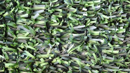 Green artificial leaves used as a fence or backgroundの写真素材