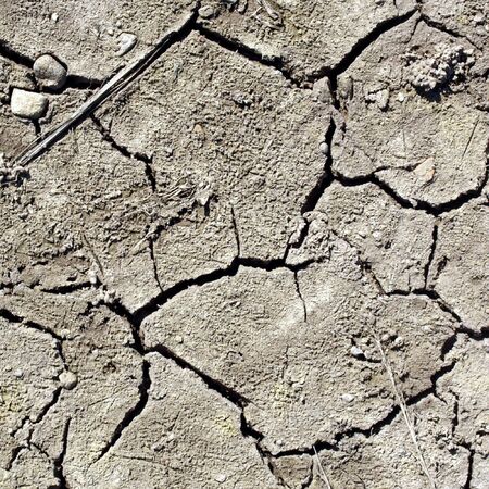 Dry earth in a field showing the effects of severe drought caused by global warmingの写真素材