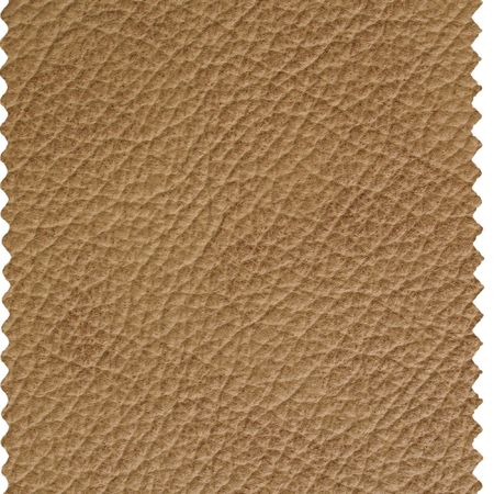 Leather sampleの写真素材