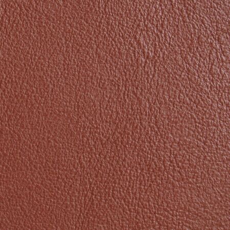 Leather sampleの写真素材