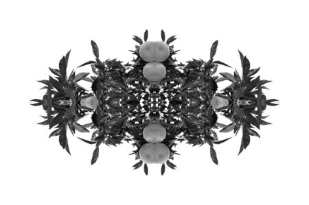 Abstract illustration useful as a background wallpaperの写真素材