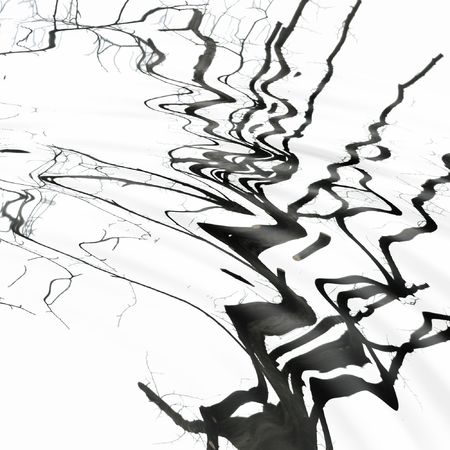 Trees branches reflected in the water wavesの写真素材