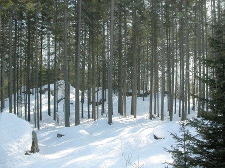 View of Piz Bernina Alps mountains in Switzerlandの写真素材