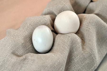 Detail of eggs in a carton box